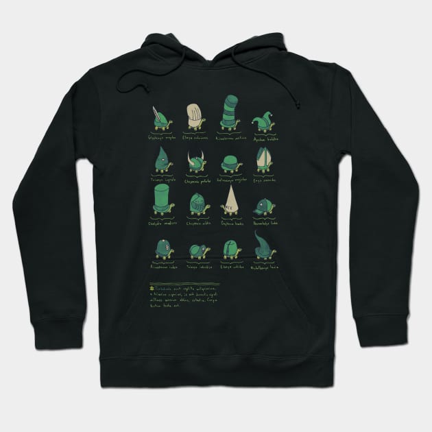 a study of turtles Hoodie by againstbound